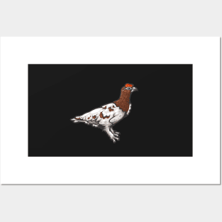 Willow Ptarmigan Posters and Art